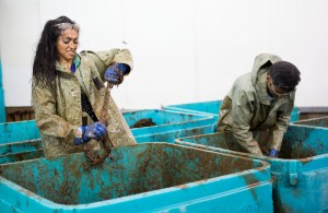 Sukhi-and-Jinder-at-Surf-2