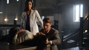 Commissioner Essen dies in Jim's arms.